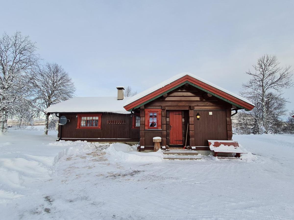 Brennabu Villa Ron Kültér fotó