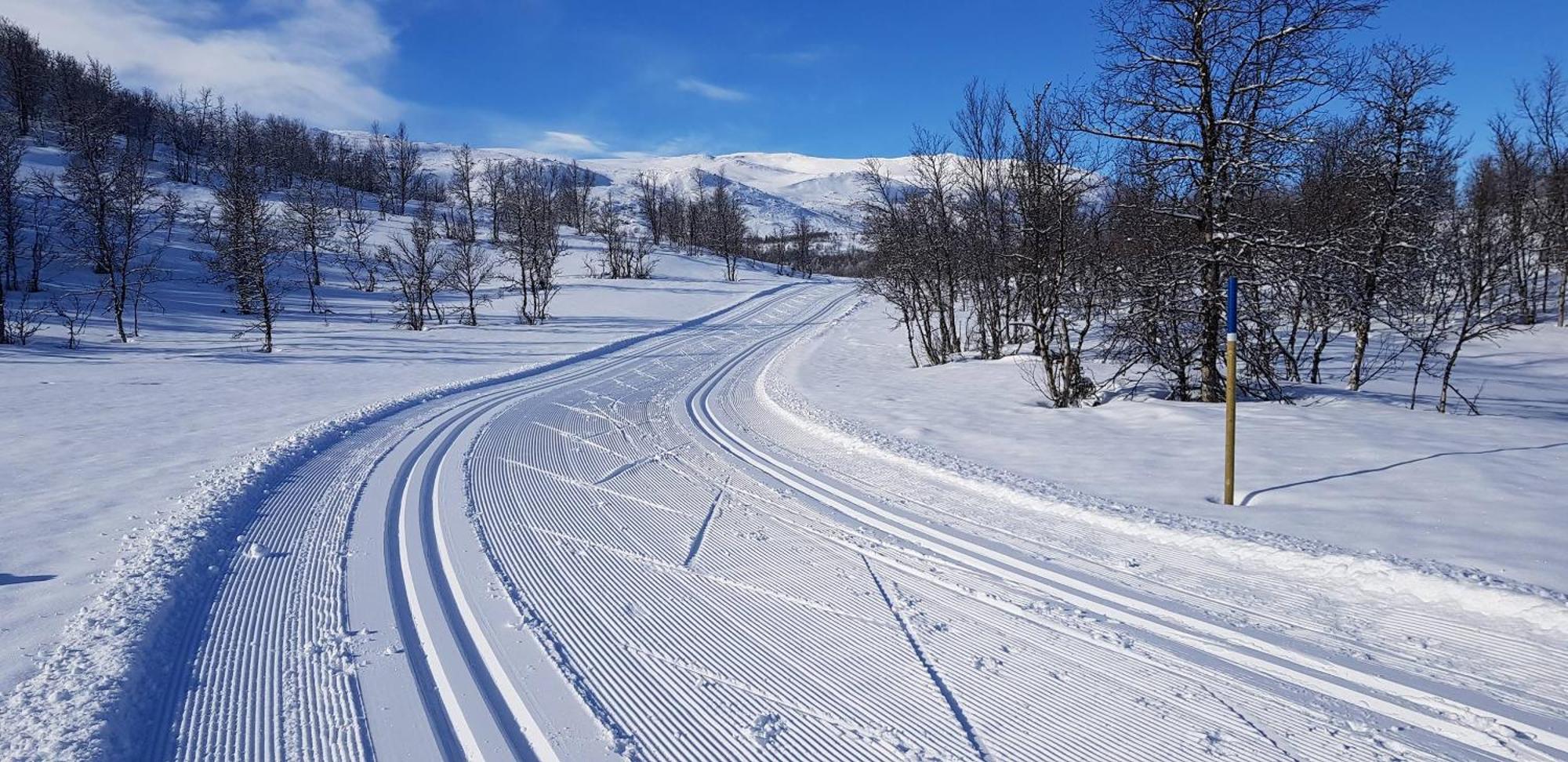 Brennabu Villa Ron Kültér fotó